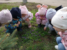 Наблюдение за живой природой Наблюдение за живой природой.
